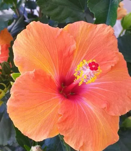 Casa Uldina * Bombarral