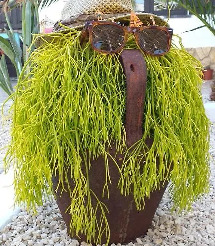 Casa Uldina Casa vacanze Bombarral